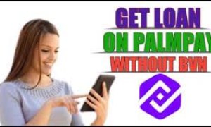 How to Borrow Money From Palmpay Loan Without BVN