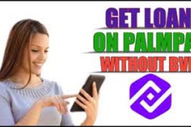 How to Borrow Money From Palmpay Loan Without BVN